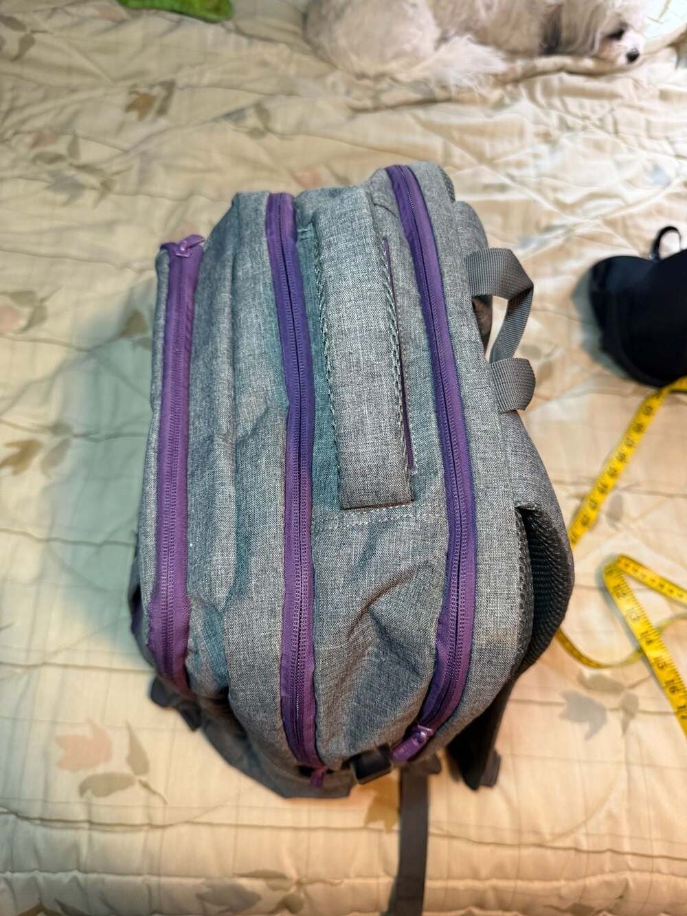 Scentsy Branded Gray and Purple Laptop Travel Backpack - Picture 4 of 13
